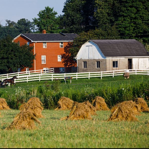 living, berlin, township, ohio